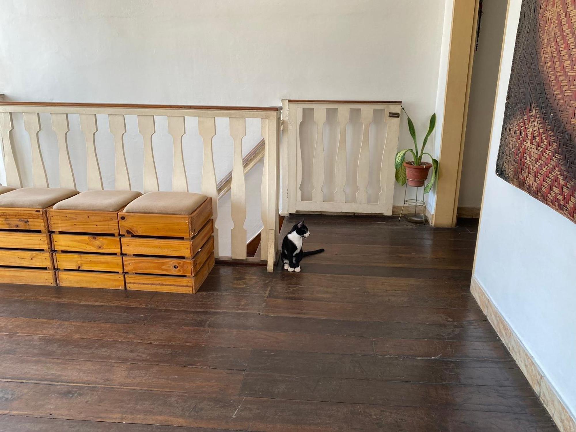 Aldeia Hostel 마나우스 외부 사진