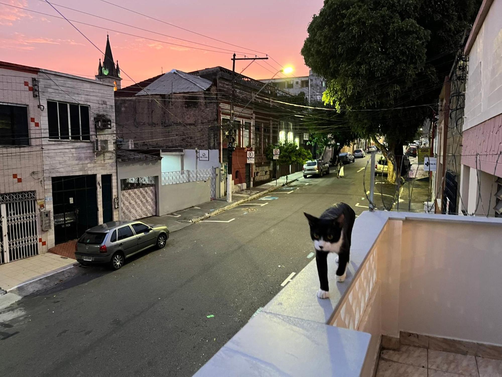 Aldeia Hostel 마나우스 외부 사진